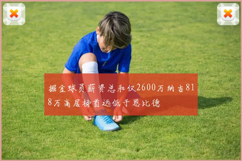 掘金球员薪资总和仅2600万纳吉818万高居榜首远低于恩比德