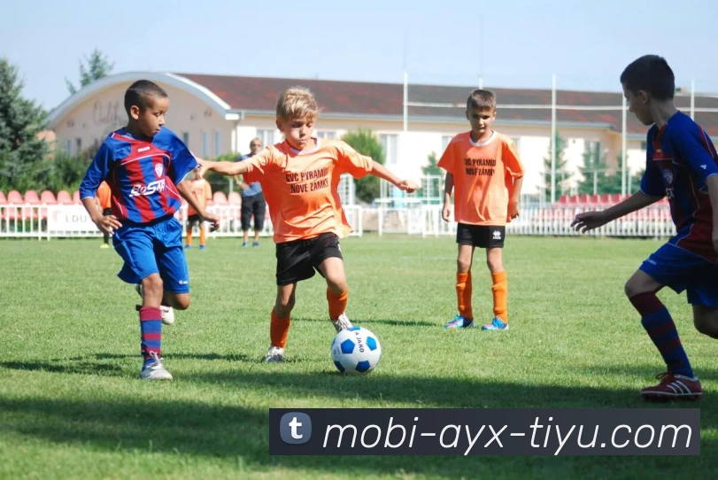 爱游戏发展历程